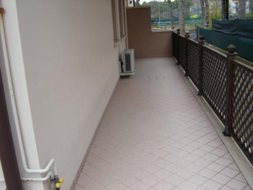 binzoni ceccarelli 2